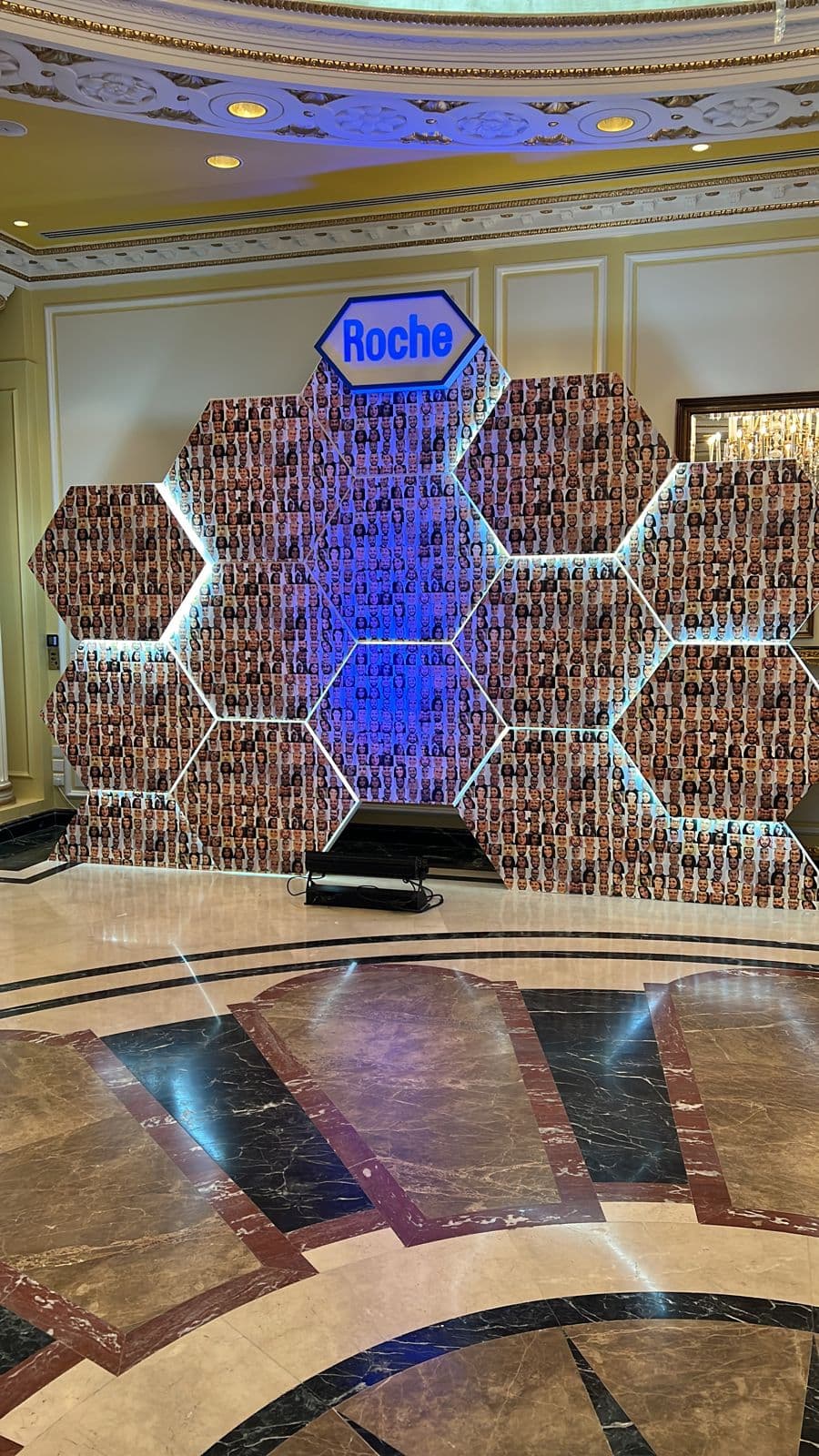 Roche event adaptation — image 3